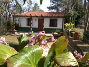 Casa Balbina, Arroyo Frio